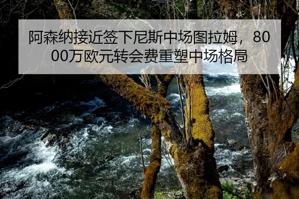 阿森纳接近签下尼斯中场图拉姆，8000万欧元转会费重塑中场格局