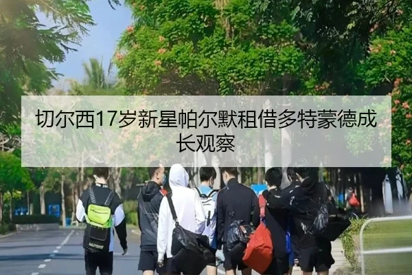 切尔西17岁新星帕尔默租借多特蒙德成长观察