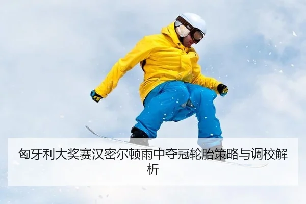 xiong-ya-li-da-jiang-sai-han-mi-er-dun-yu-zhong-duo-guan-lun-tai-ce-lve-yu-diao-xiao-jie-xi-3-428.jpg